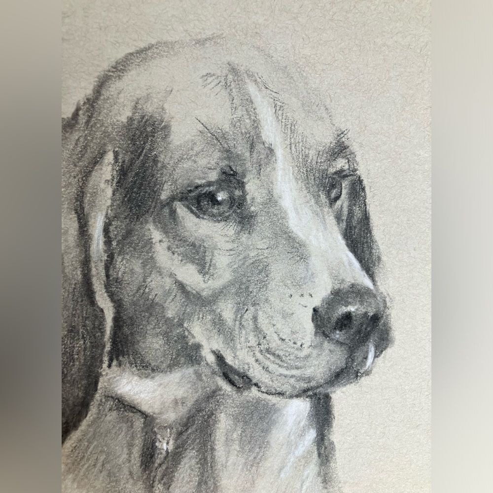 Original Painting Beagle dog Art charcoal pastel Dogs artwork Ooak Artettina USA - Picture 2 of 6